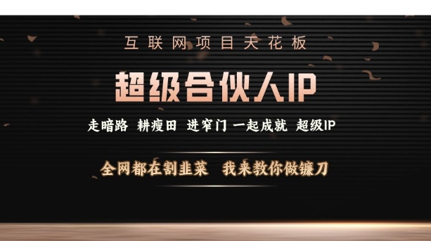 互联网项目天花板，超级合伙人IP，全网都在割韭菜，我来教你做镰刀【仅揭秘】-禾谷轻创网