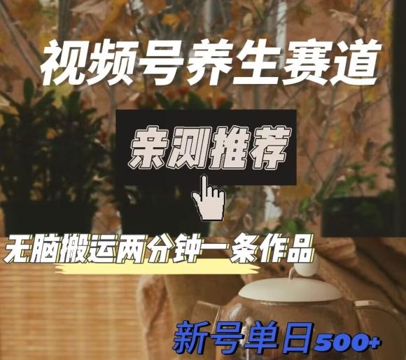 视频号养生赛道暴力掘金，无脑搬运，两分钟一条作品-新日单入500+-禾谷轻创网