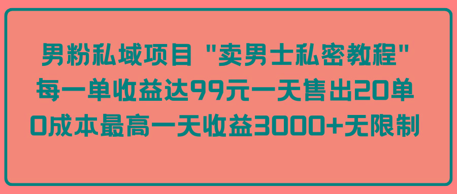 (9730期)男粉私域项目 “卖男士私密教程” 每一单收益达99元一天售出20单-禾谷轻创网