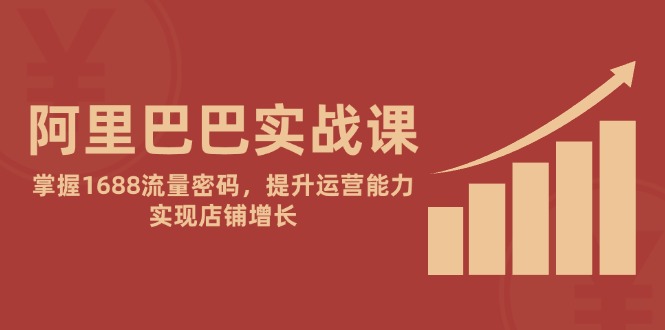 阿里巴巴实战课：掌握1688流量密码，提升运营能力，实现店铺增长-禾谷轻创网