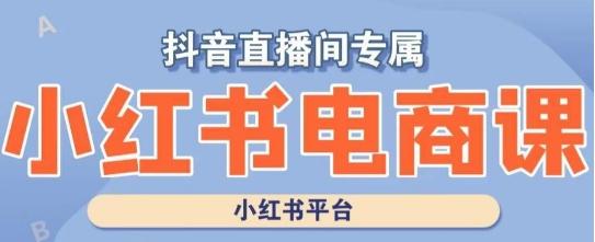 小红书电商高级运营课程，实操教学+案例分析-禾谷轻创网