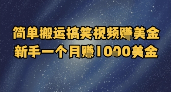 简单搬运搞笑视频挣美金，新手一个月入1k美金-禾谷轻创网