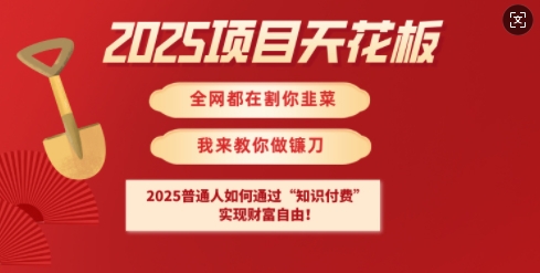 2025项目天花板普通人如何通过知识付费，实现财F自由【揭秘】-禾谷轻创网