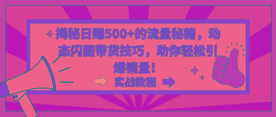 揭秘日赚500+的流量秘籍，动态闪图带货技巧，助你轻松引爆销量！-禾谷轻创网